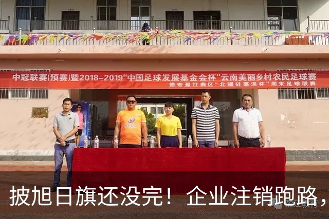 披旭日旗还没完！企业注销跑路，又揪出5个喊“一起披”的