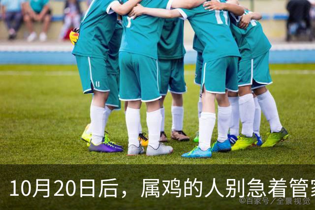 10月20日后，属鸡的人别急着管家里的事