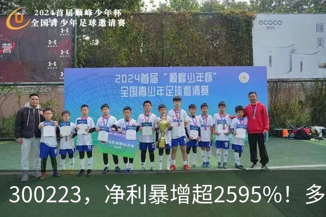300223，净利暴增超2595%！多家A股公司业绩爆发